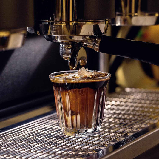 MHW-3Bomber Wright Cup